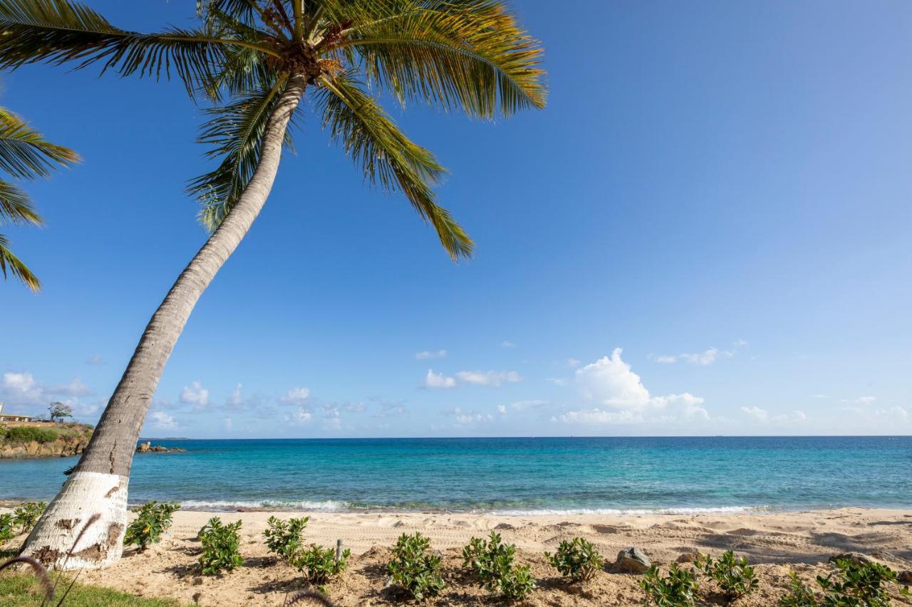 Limetree Beach Resort By Club Wyndham Bolongo Bagian luar foto